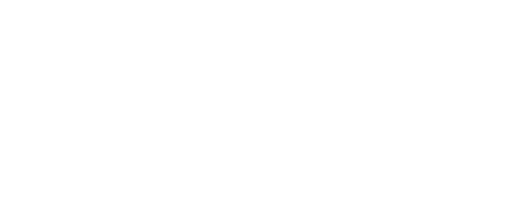 iFOAM iFOAM